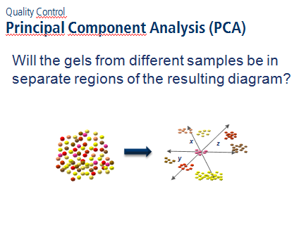 [img: PCA]