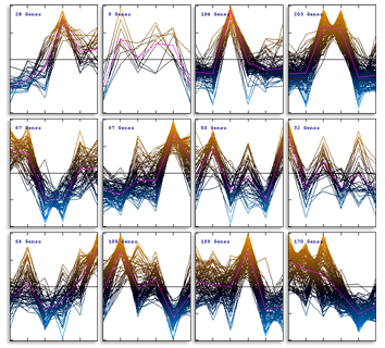 Cluster Subsets