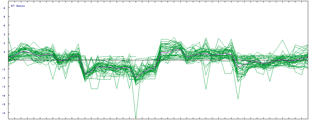 Statistical Analysis