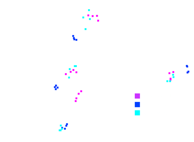 time points