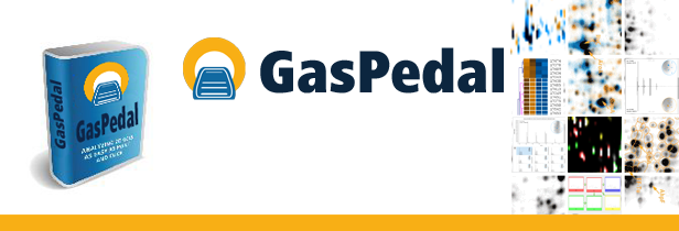 GasPedal banner